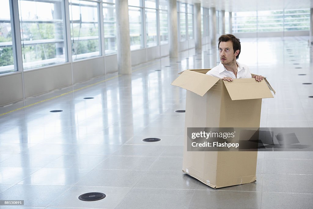 Guy In Box Portrait Of Man Inside Cardboard Box High-Res Stock Photo - Getty Images