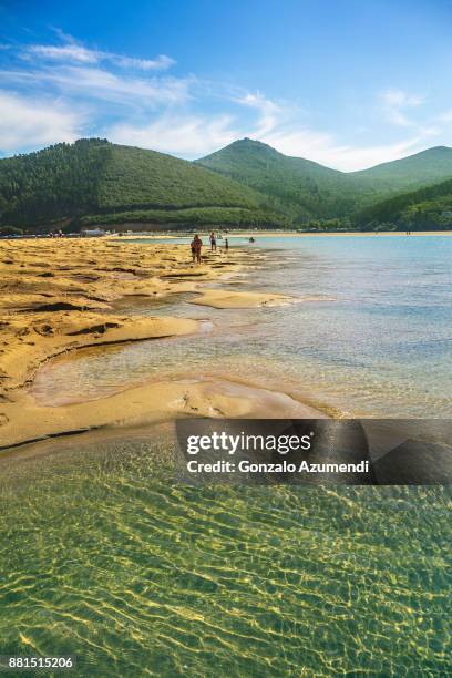 laida beach in urdaibai region in bizkaia - bioreserve stock pictures, royalty-free photos & images