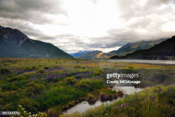 landscape of south island,new zealand - mackenzie country stock pictures, royalty-free photos & images