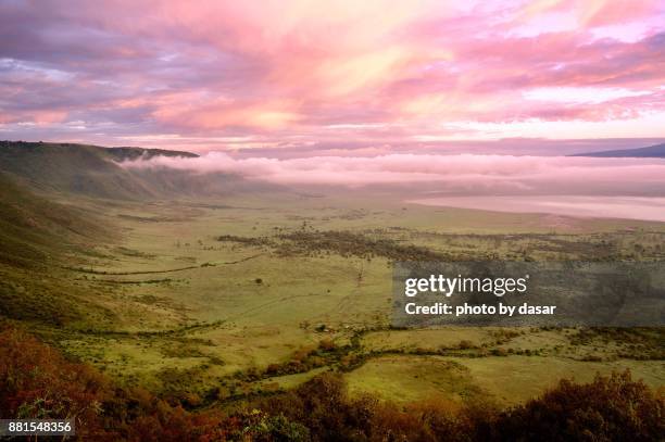 ngorongoro - cratera de ngorongoro imagens e fotografias de stock