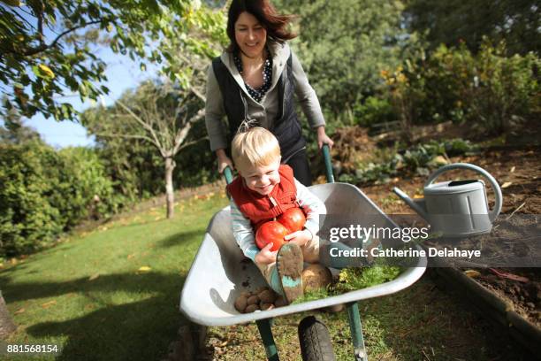 a 3 years old boy having fun with his mum in the garden - jardin potager photos et images de collection