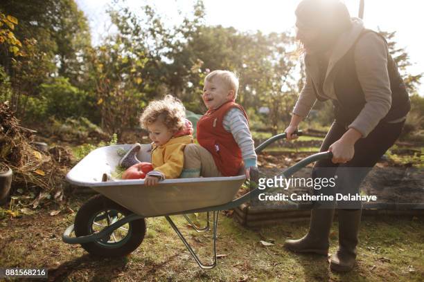 2 children having fun with their mum in the garden - family gardening stock-fotos und bilder