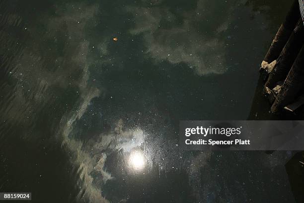 The sun is reflected on the polluted Gowanus Canal on June 2, 2009 in the Brooklyn borough of New York City. The Gowanus Canal is bounded by several...