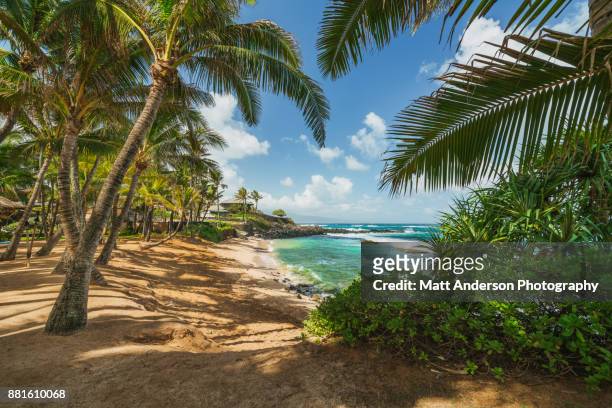 kuau cove beach maui hawaii #10 - hawaii islands fotografías e imágenes de stock