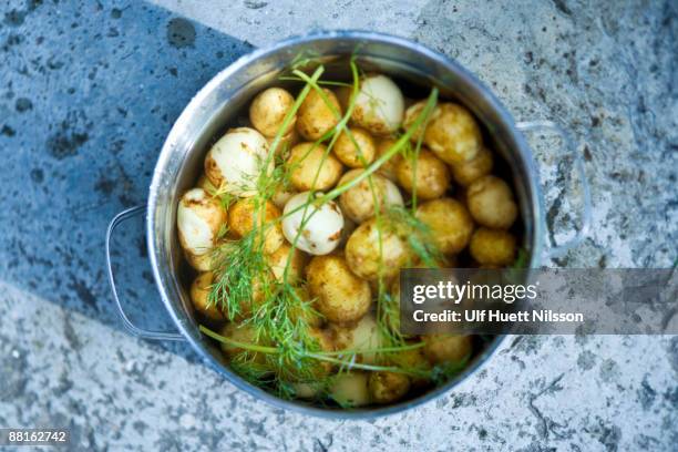potatoes in a pan sweden. - neue kartoffel gekocht stock-fotos und bilder