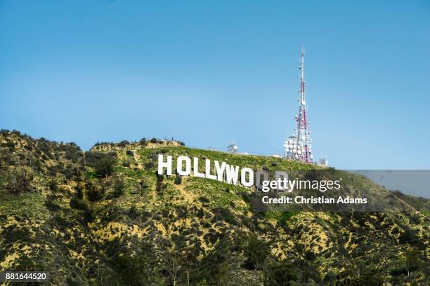 view onto sunny hollywood sign - hollywood los angeles stock-fotos und bilder