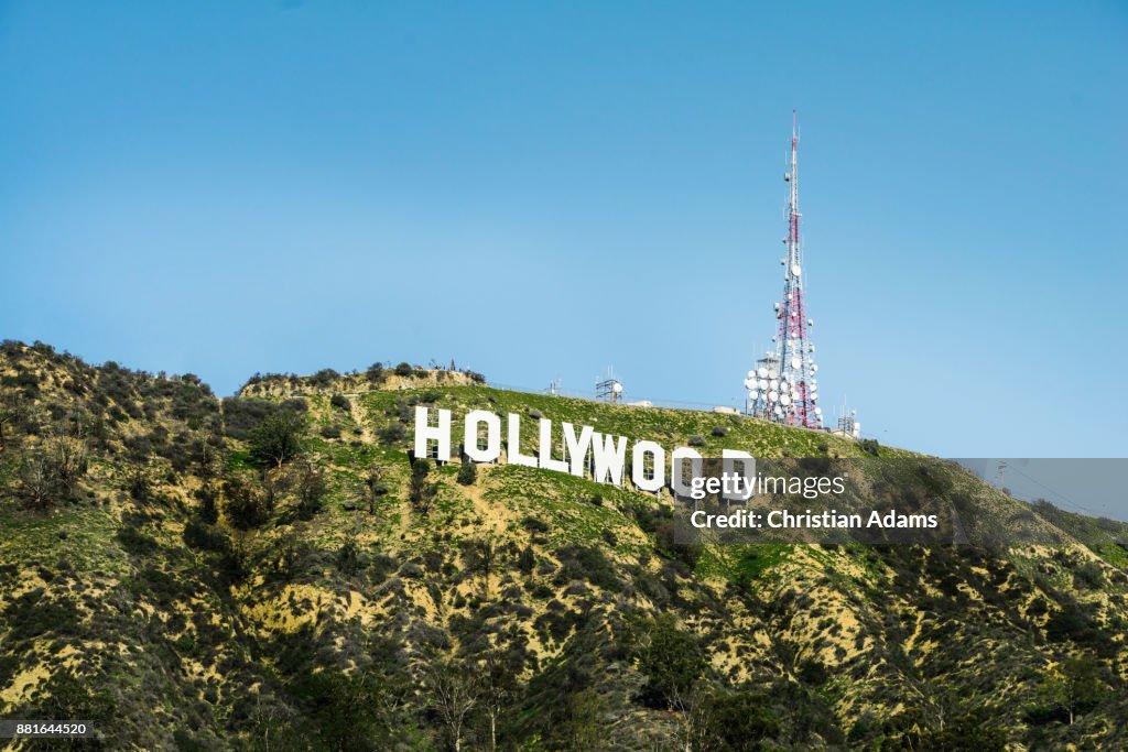 View onto sunny hollywood sign