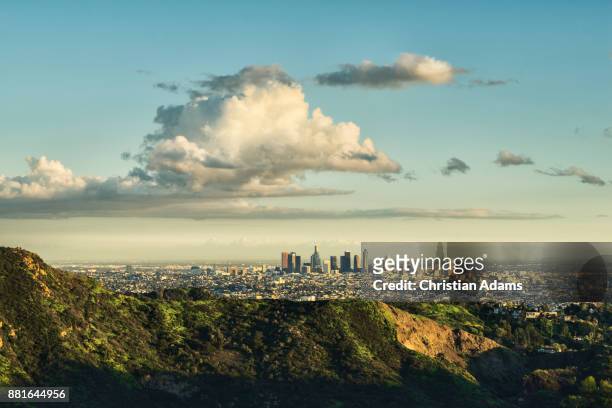 sunny view onto los angeles - hollywood hills los angeles stockfoto's en -beelden