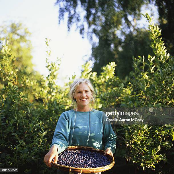 woman with basket of blueberries - single leaf stock-fotos und bilder