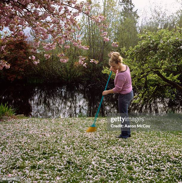 woman sweeping lawn with broom - vegen stockfoto's en -beelden