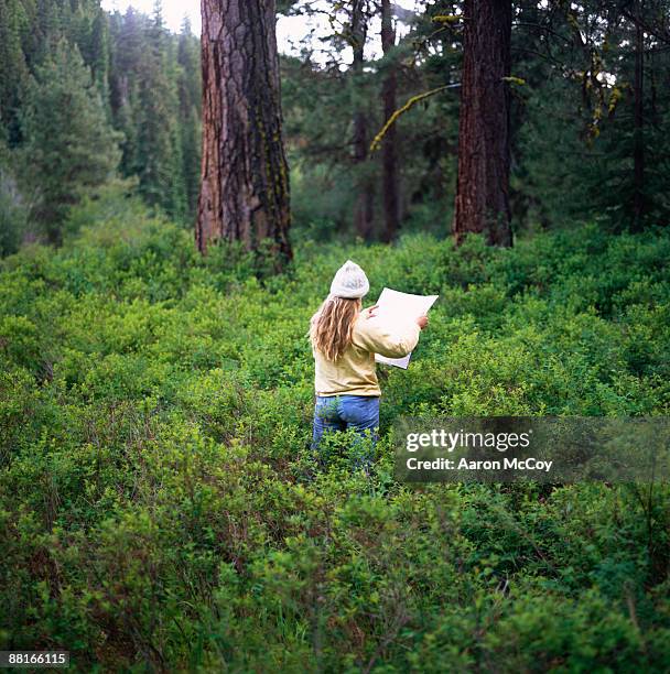 woman with map in woods - verdwaald stockfoto's en -beelden