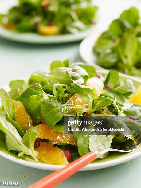 mache salad - feldsalat stock-fotos und bilder