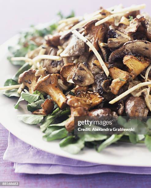 wild mushroom salad - cheese salad bildbanksfoton och bilder