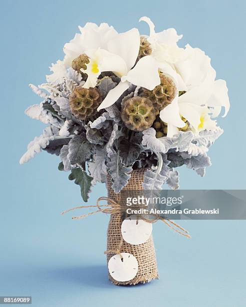bridal bouquet of dusty miller , scabiosa seedpods , and cattleya orchids - cineraria maritima stock pictures, royalty-free photos & images