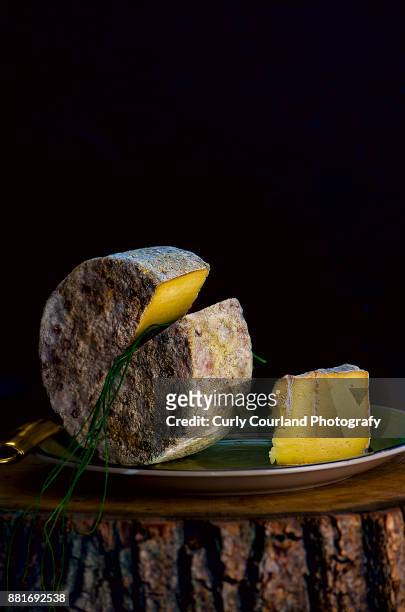 roquefort cheese head with chives, served on the wooden cross section, chiaroscuro lighting, dark moody style - roquefort cheese ストックフォトと画像