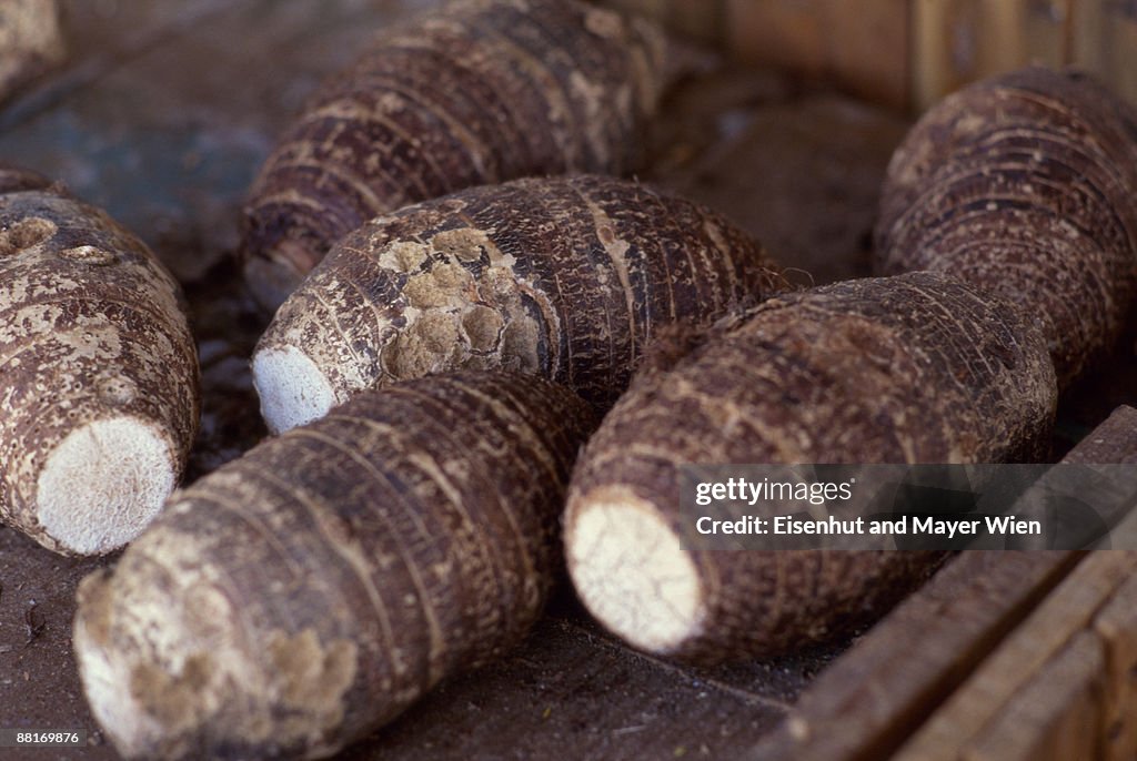 Taro Root Inside Taro Root High-Res Stock Photo - Getty Images