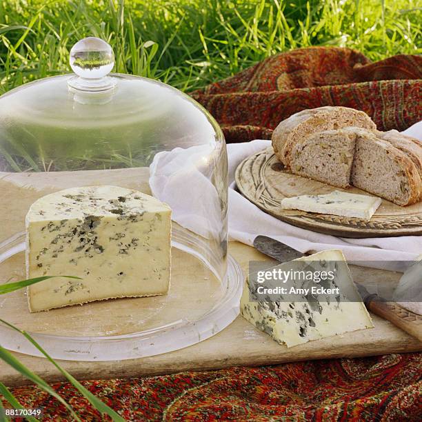 blue cheese in bell jar - bell jar stockfoto's en -beelden