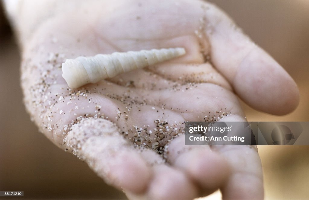 Holding sandy seashell