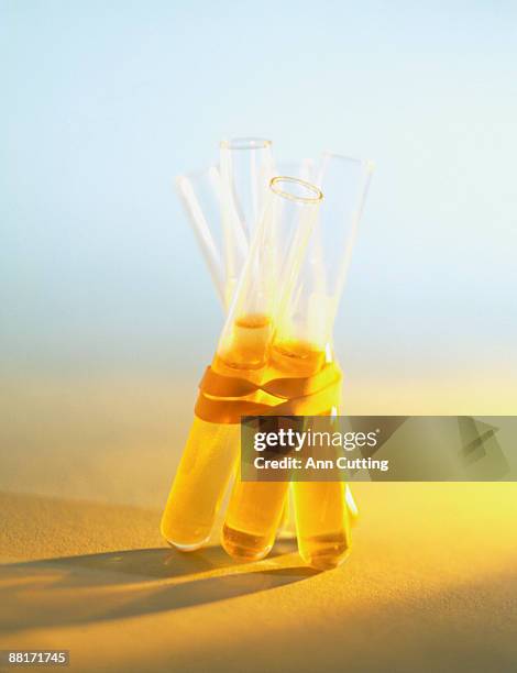 test tubes bound by a rubber band - chemistry band stock pictures, royalty-free photos & images