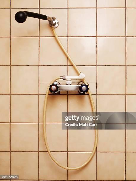 shower head and fixtures - shower head stock pictures, royalty-free photos & images