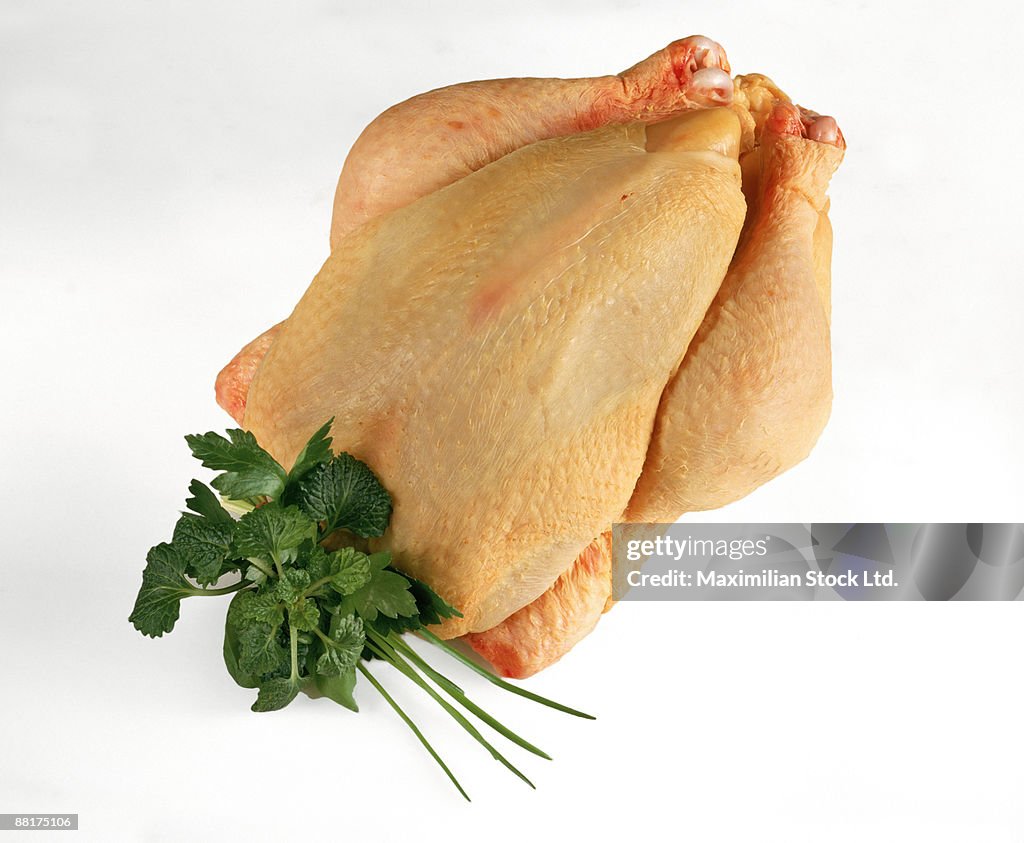 Raw chicken with chives