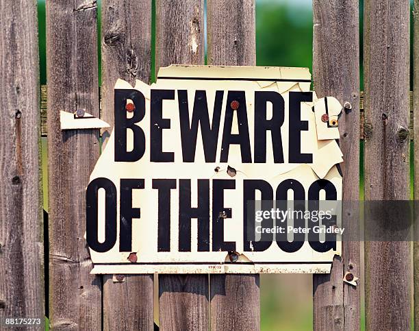 worn beware of dog sign on fence - beware of dog stock pictures, royalty-free photos & images