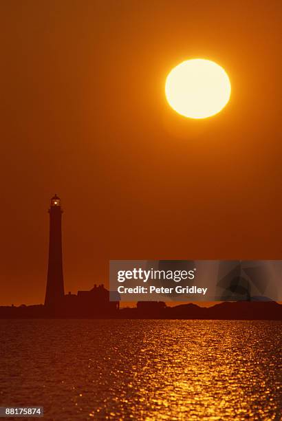 lighthouse at sunset - leuchtturm fire island stock-fotos und bilder