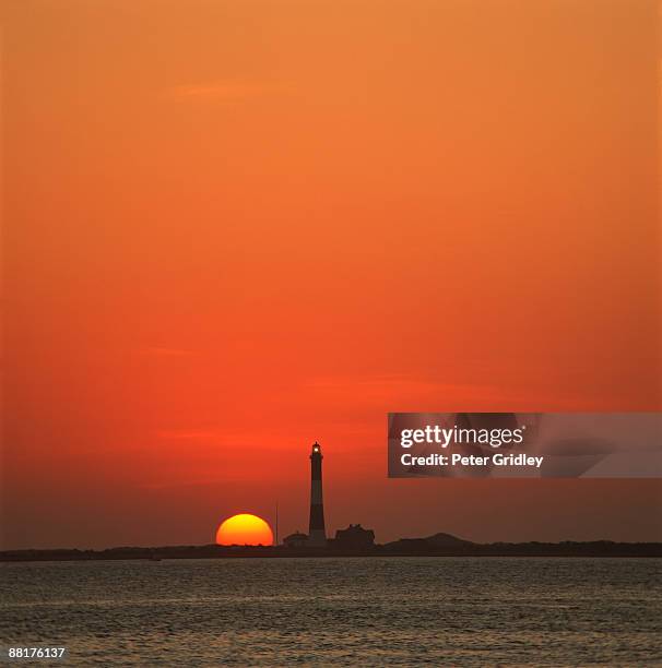 lighthouse at sunset - leuchtturm fire island stock-fotos und bilder