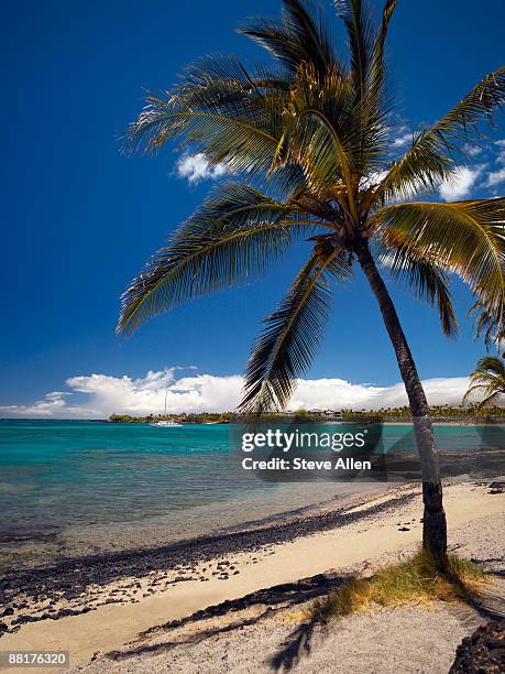 beach view, waikoloa, hawaii - anaehoomalu bay stockfoto's en -beelden