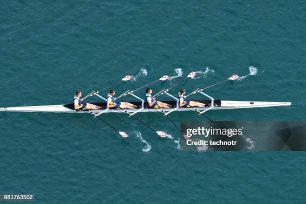 male quadruple scull rowing team at the race, lake bled, slovenia - remar imagens e fotografias de stock