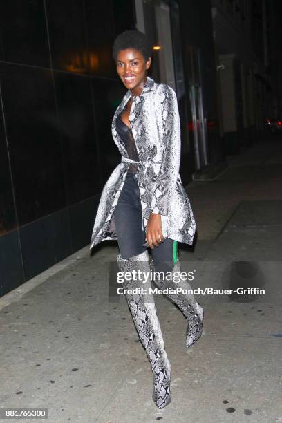 Amilna Estevao is seen on November 28, 2017 in New York City.