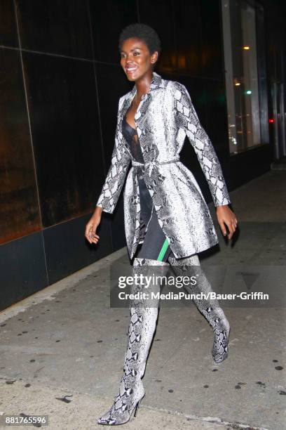 Amilna Estevao is seen on November 28, 2017 in New York City.