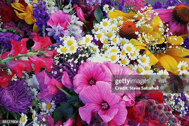 variety of flowers - bouquet photos et images de collection