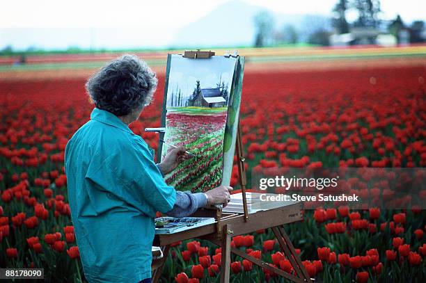 woman painting in tulip field - artist easel stock pictures, royalty-free photos & images