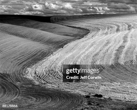 Curving pattern in fields Curving pattern in fields