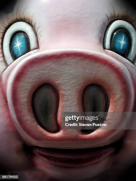 close up of a toy pig face - pig snout stock-fotos und bilder