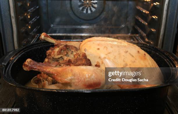 holiday feast cooking in the oven - culture indienne dinde photos et images de collection