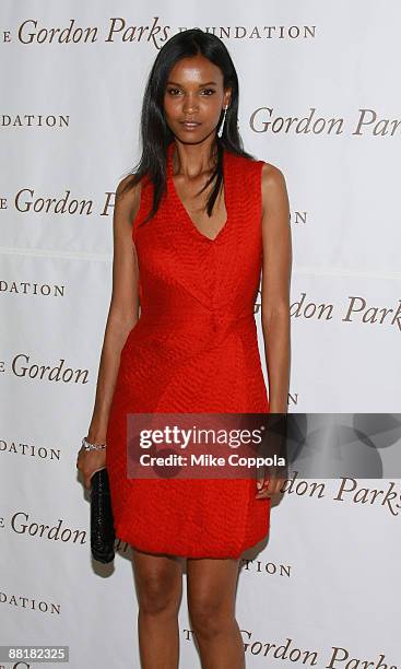 Model Liya Kebede attends the Gordon Parks Foundation's Celebrating Fashion Awards Gala at Gotham Hall on June 2, 2009 in New York City.