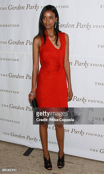Model Liya Kebede attends the Gordon Parks Foundation's Celebrating Fashion Awards Gala at Gotham Hall on June 2, 2009 in New York City.