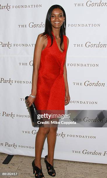 Model Liya Kebede attends the Gordon Parks Foundation's Celebrating Fashion Awards Gala at Gotham Hall on June 2, 2009 in New York City.