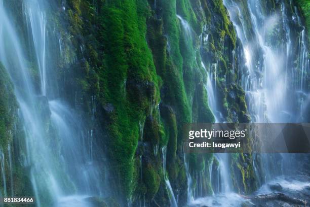 mossy waterfalls with sunlight - isogawyi fotografías e imágenes de stock
