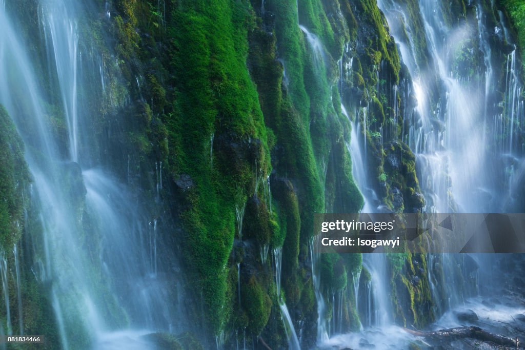 Mossy waterfalls with sunlight