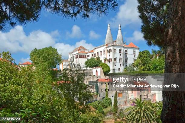 view of sintra national palace, an imposing medieval royal palace in sintra, portugal - mieneke andeweg stock pictures, royalty-free photos & images