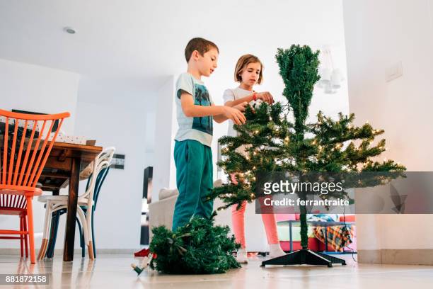 siblings putting up a christmas tree - hot mexican girls stock pictures, royalty-free photos & images