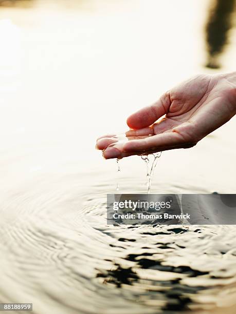 Water Ripples Hand Photos and Premium High Res Pictures - Getty Images