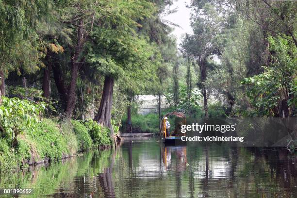 xochimilco, mexico city - xochimilco stock pictures, royalty-free photos & images