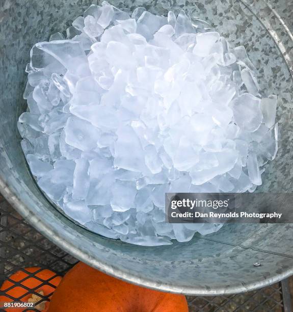 ice bucket for party - portaghiaccio foto e immagini stock