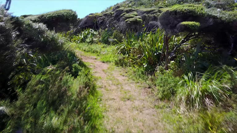 Mercer Loop Track 428 Native Bay Stock Videos, Footage, & 4K Video Clips - Getty Images