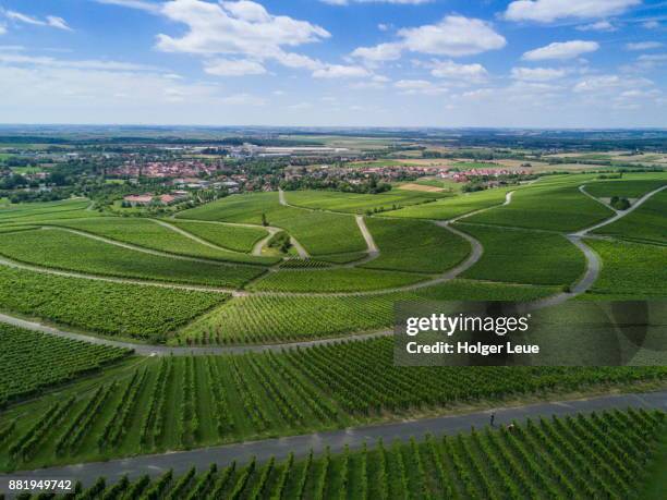 aerial of roads through iphöfer julius-echter-berg vineyard, iphofen, franconia, bavaria, germany - franconie stockfoto's en -beelden