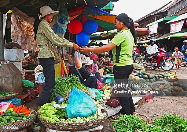Marketplace in Siem Reap where Tourists take part in a cooking course to learn how to cook the traditional Fish Amok on December 28, 2008. Many...